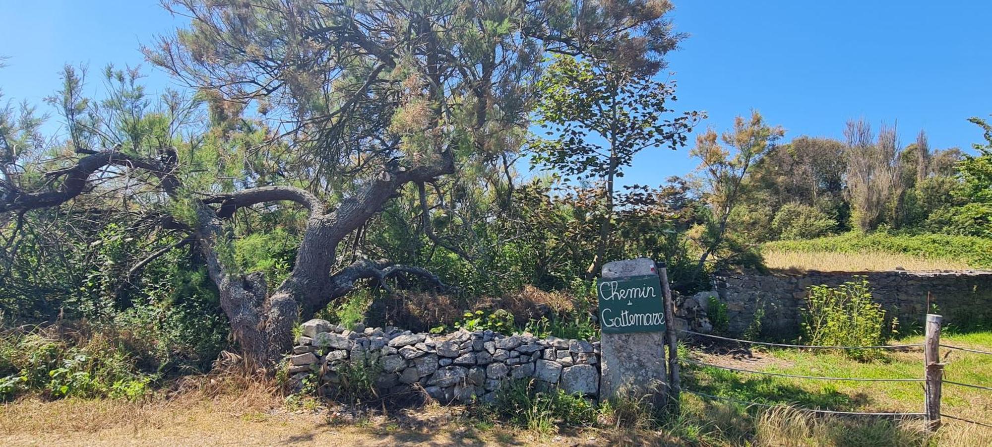 Relais Des Iles Saint Marcouf Villa Eksteriør billede
